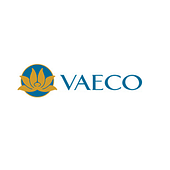 VAECO Vietnam Big Logo