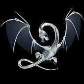 Steel Dragon Vietnam Big Logo