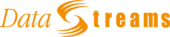 Data Streams Asia Vietnam Big Logo