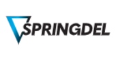 Springdel Vietnam Big Logo