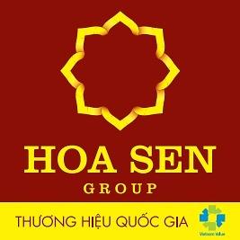 Hoa Sen Group - IT Jobs | ITviec